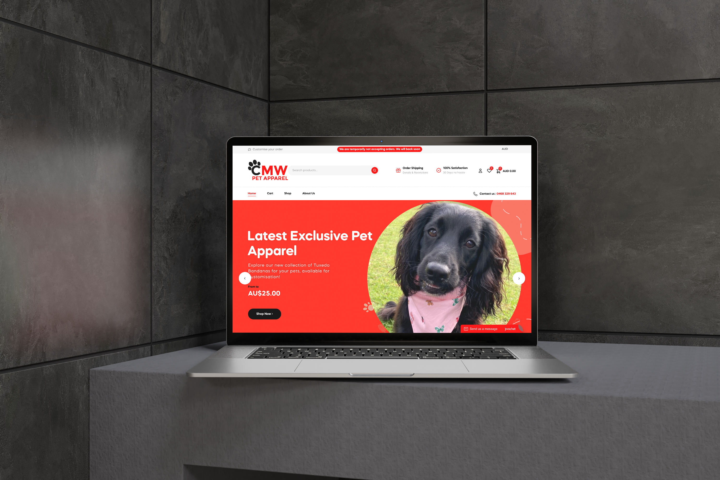 CMW Pet Apparel web design